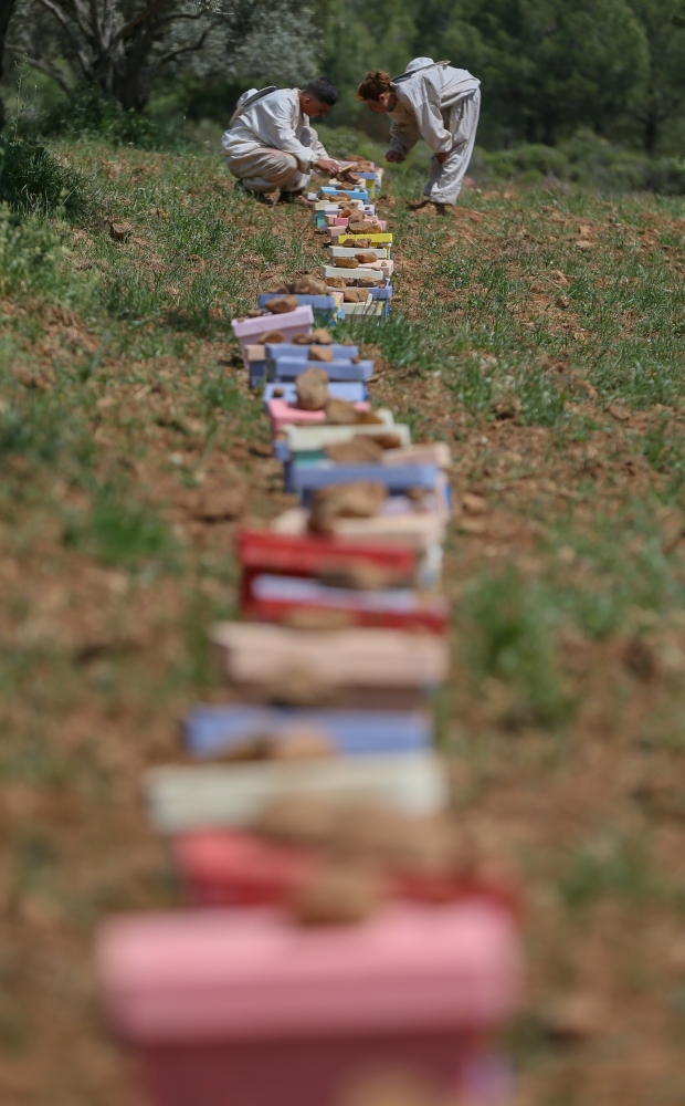 Arıcı çift, devlet desteğiyle kazancını artırdı